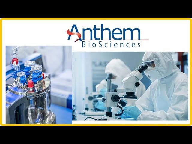 नवीनतम ग्रे मार्केट प्रीमियम GMP क्या है