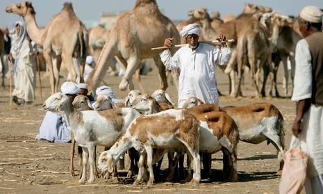 World Animal Day 2025: Date, History, Celebration, Theme, Events, Quotes and Messages 7 image 136