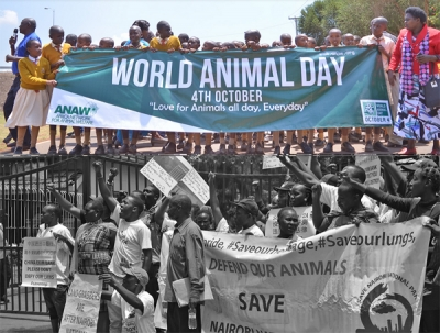 World Animal Day 2025: Date, History, Celebration, Theme, Events, Quotes and Messages 8 image 137