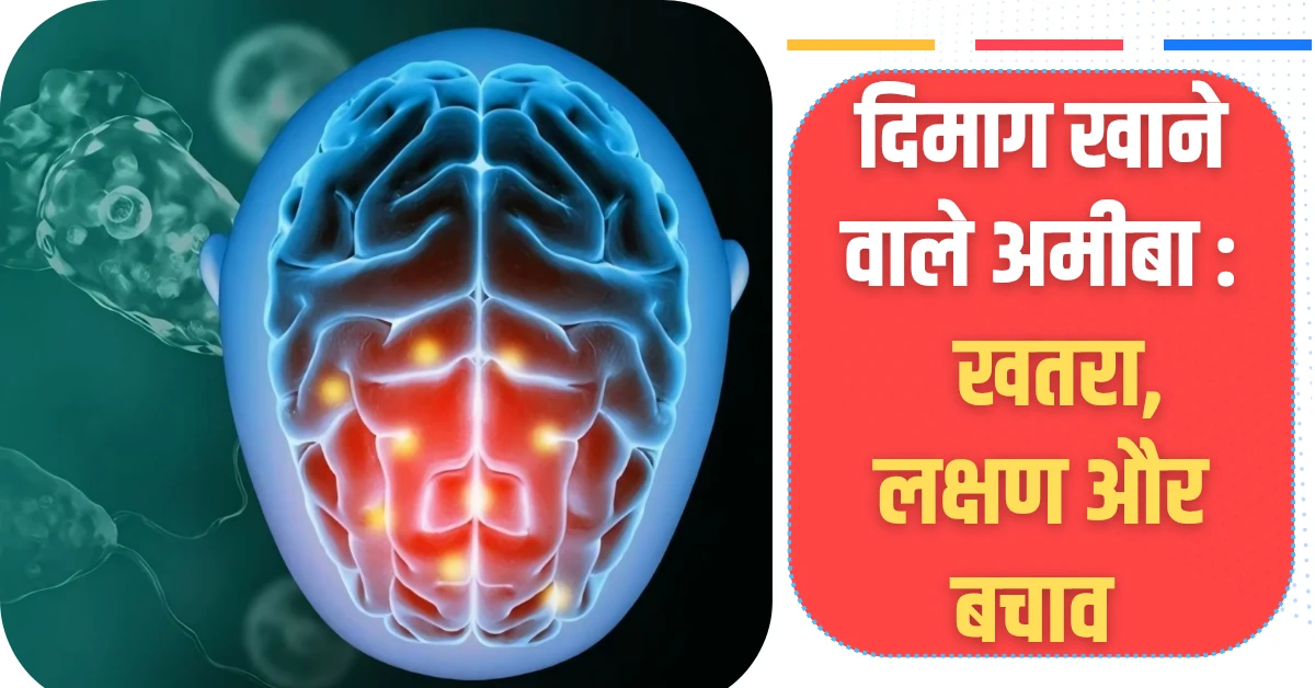 Brain Eating Amoeba दिमाग खाने वाले अमीबा खतरा, लक्षण और बचाव