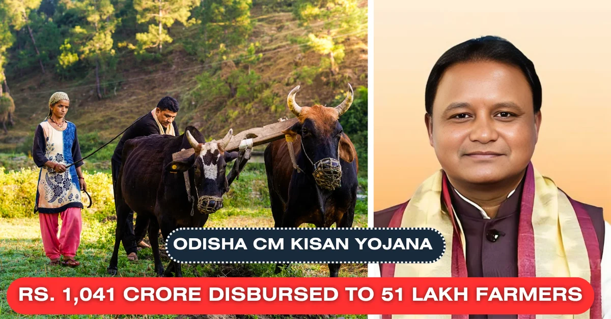 Odisha CM Kisan Yojana INR 1,041 Crore Disbursed to 51 Lakh Farmers Before Nuakhai