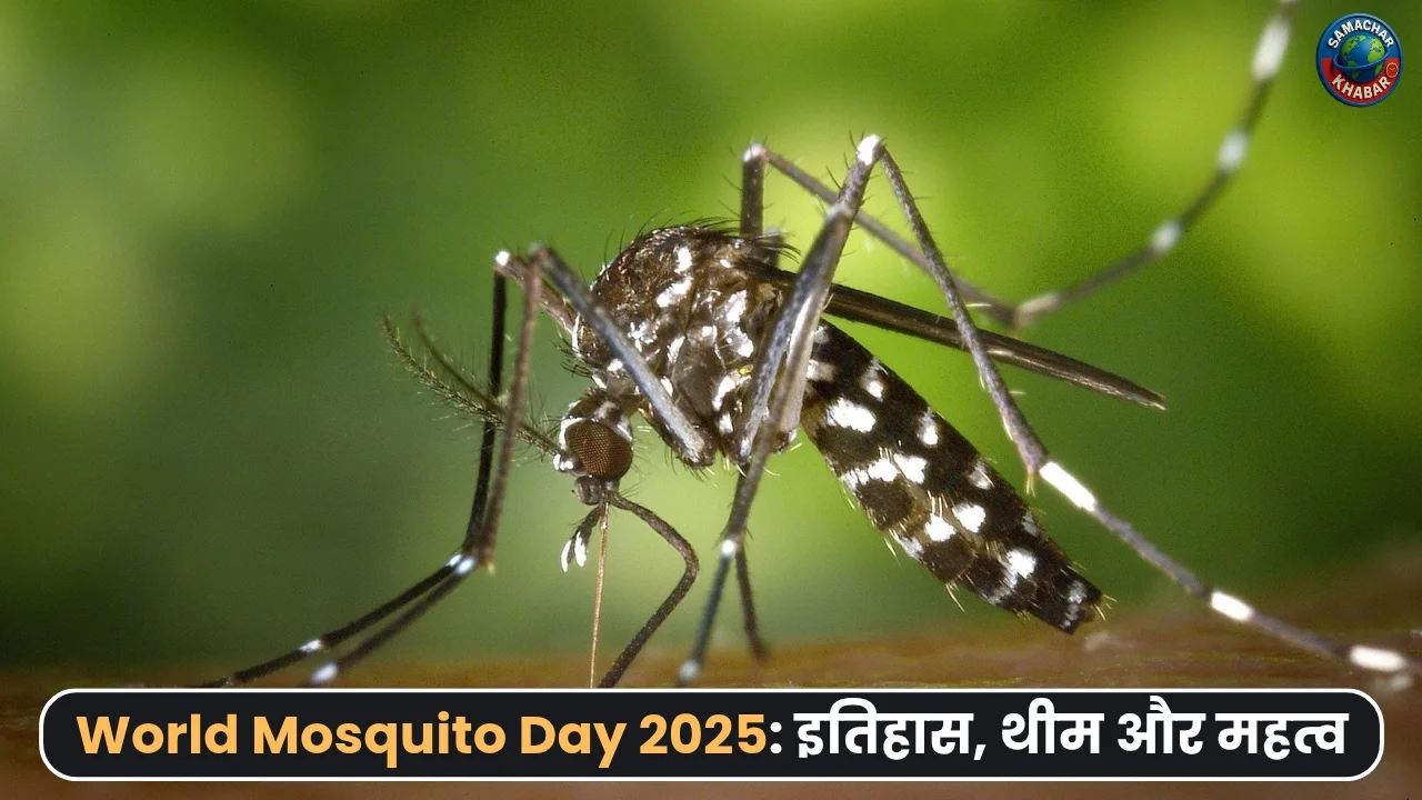 World Mosquito Day quotes theme and history in hindi