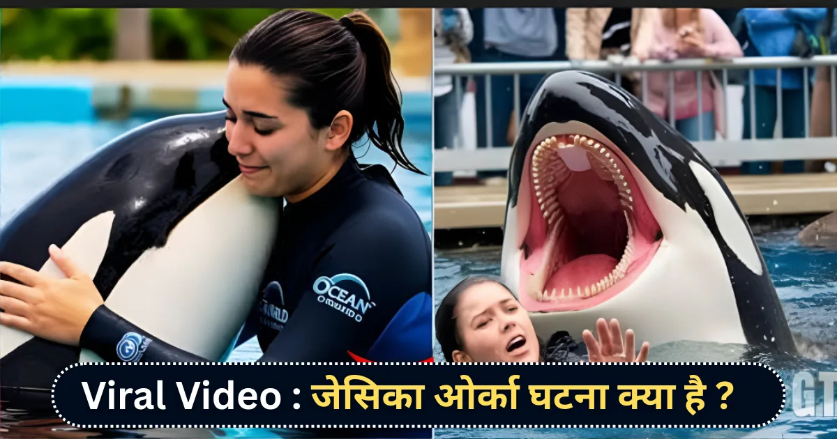 jessica orca incident news in hindi