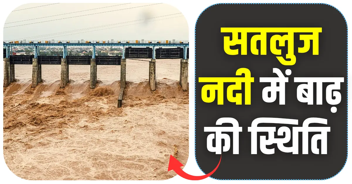 सतलुज नदी में बाढ़ की स्थिति 2025 कारण, प्रभाव और बचाव