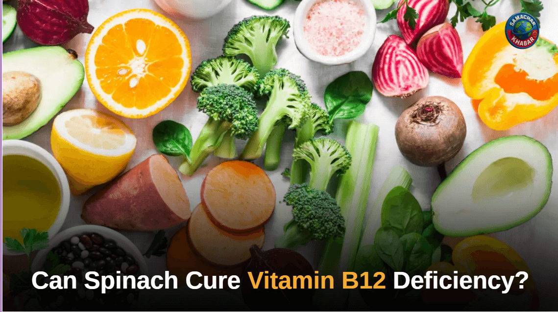Can Spinach Cure Vitamin B12 Deficiency?