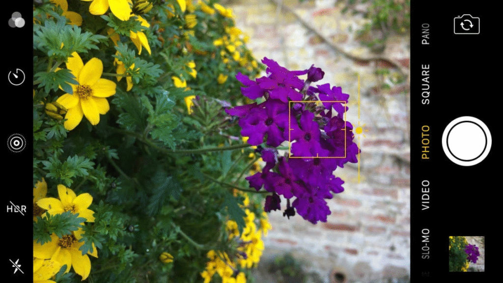 Mastering Mobile Photography: 10 Tips for Taking Better Photos with Your Smartphone 5 image 315