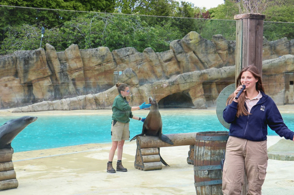 What is Blackpool Zoo? Latest News and More 2 image 371