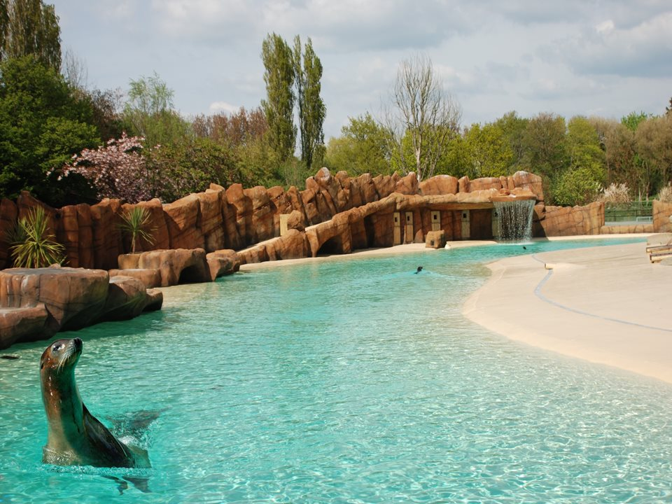 What is Blackpool Zoo? Latest News and More 3 The Birth of a Critically Endangered Tamarin