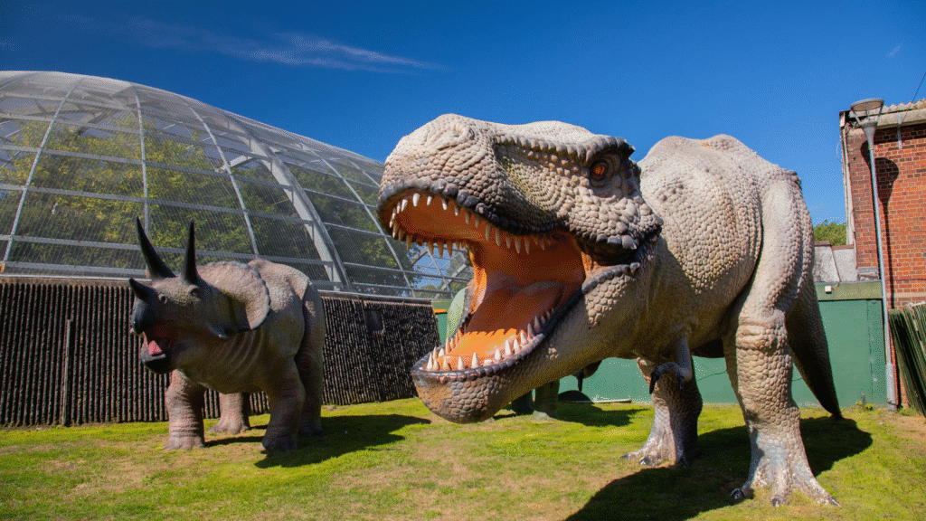 What is Blackpool Zoo? Latest News and More 5 image 374