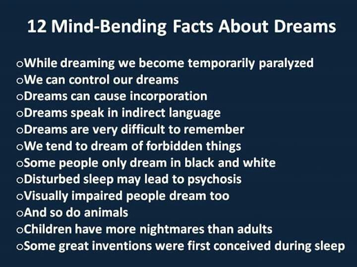 Interesting Facts About Dreams