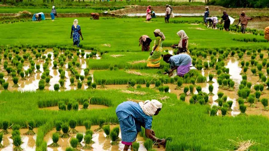 Indira Gandhi Death Anniversary 2025: Remembering the Iron Lady Who Forged India’s Unity, Strength & Self-Respect 3 image 332