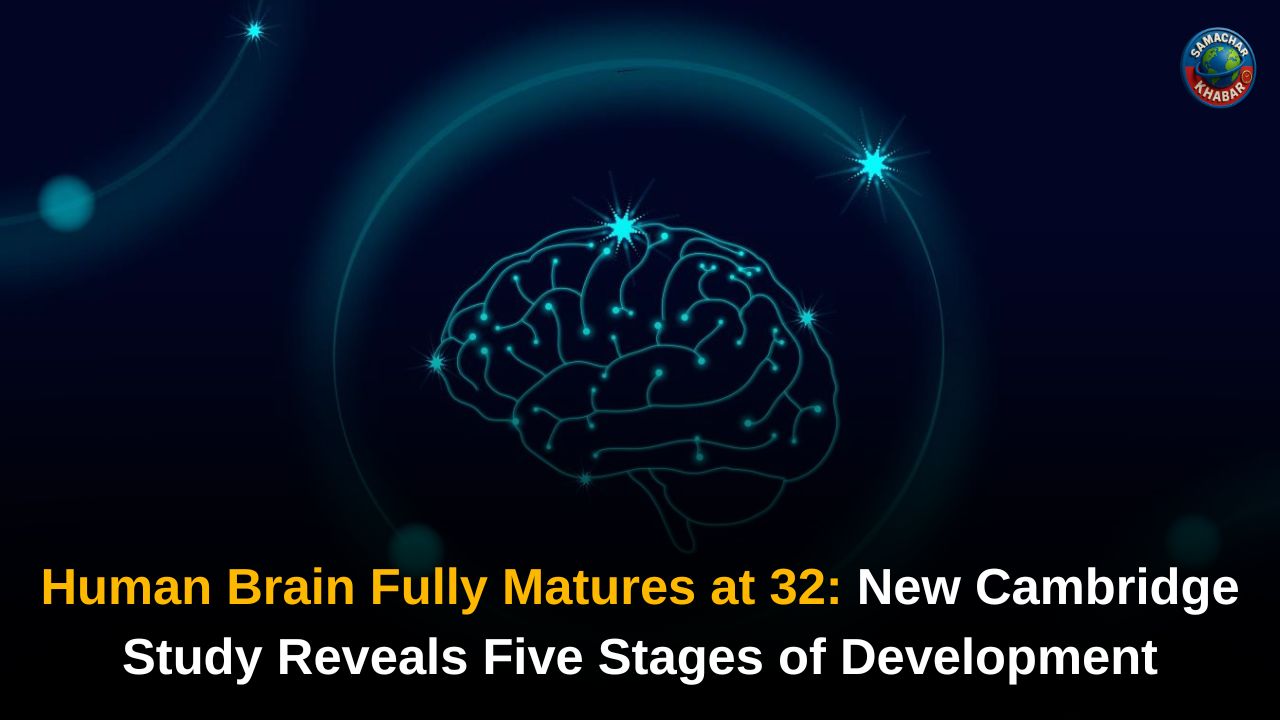 Human Brain Reaches Full Maturity at Age 32, Study Finds