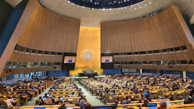 Stalemate in New York: 11th NPT Review Conference Concludes Without Consensus 1 image 35