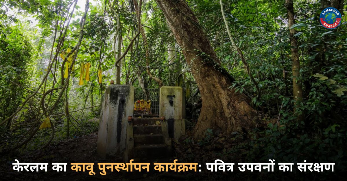 केरलम का कावू पुनर्स्थापन कार्यक्रम: पवित्र उपवनों का संरक्षण