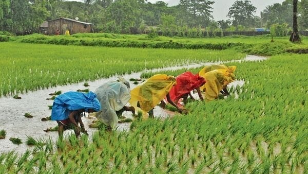 PM Kisan 23rd Installment: आज 9.44 करोड़ किसानों को मिलेंगे ₹2000, पीएम मोदी जारी करेंगे 23वीं किस्त 1 image 24